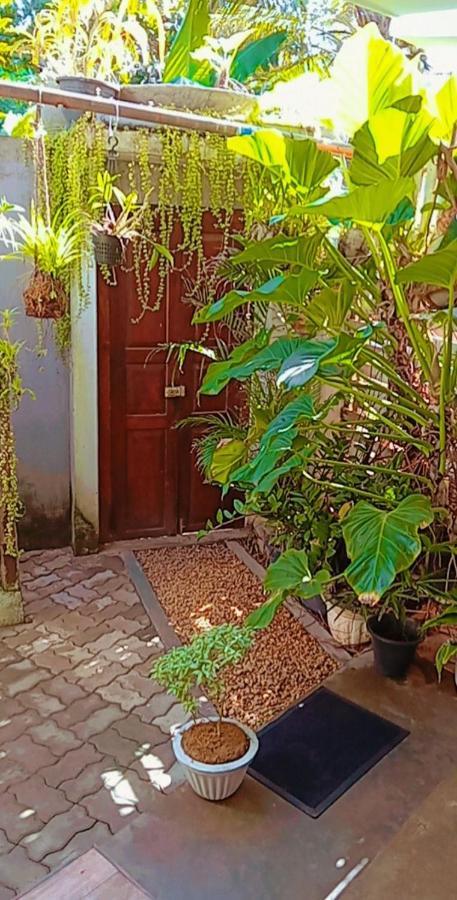 Shady Edge Hotel Unawatuna Kültér fotó