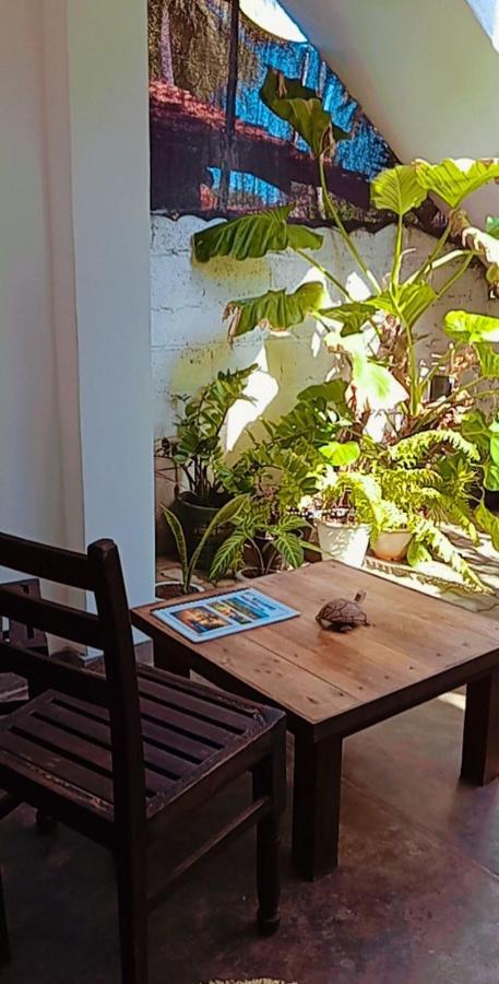 Shady Edge Hotel Unawatuna Kültér fotó
